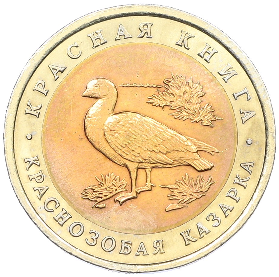 10 рублей 1992 года ЛМД «Красная книга — Краснозобая казарка» — Фото №1