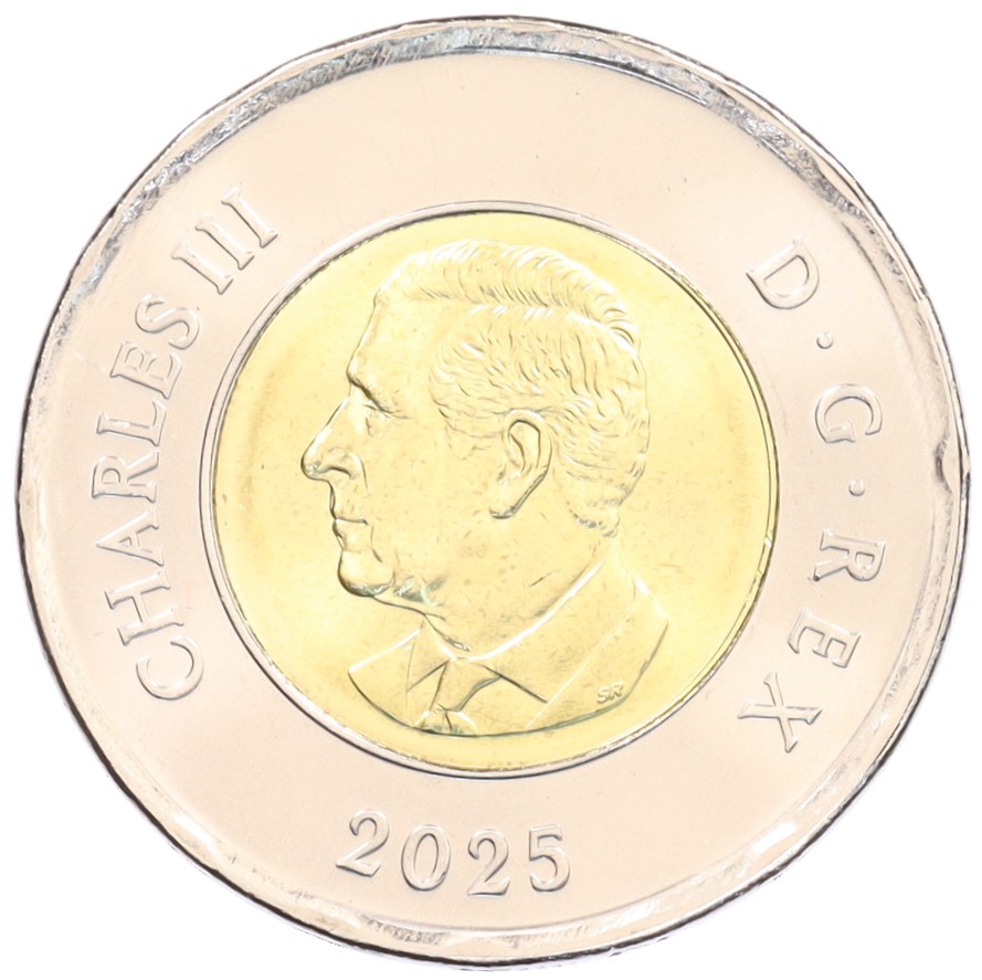 2 доллара 2025 года Канада «Чествование неизвестного солдата Канады» — Фото №2