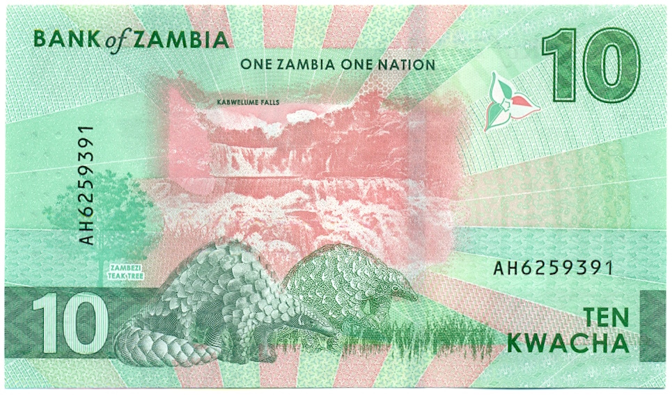 10 квача 2024 года Замбия — Фото №2