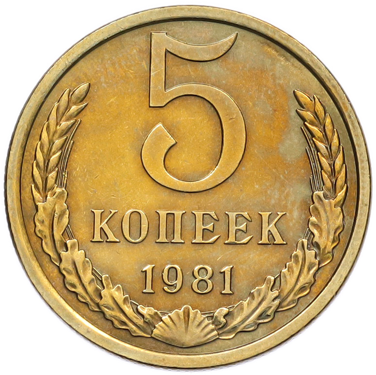 5 копеек 1981 года СССР — Фото №1