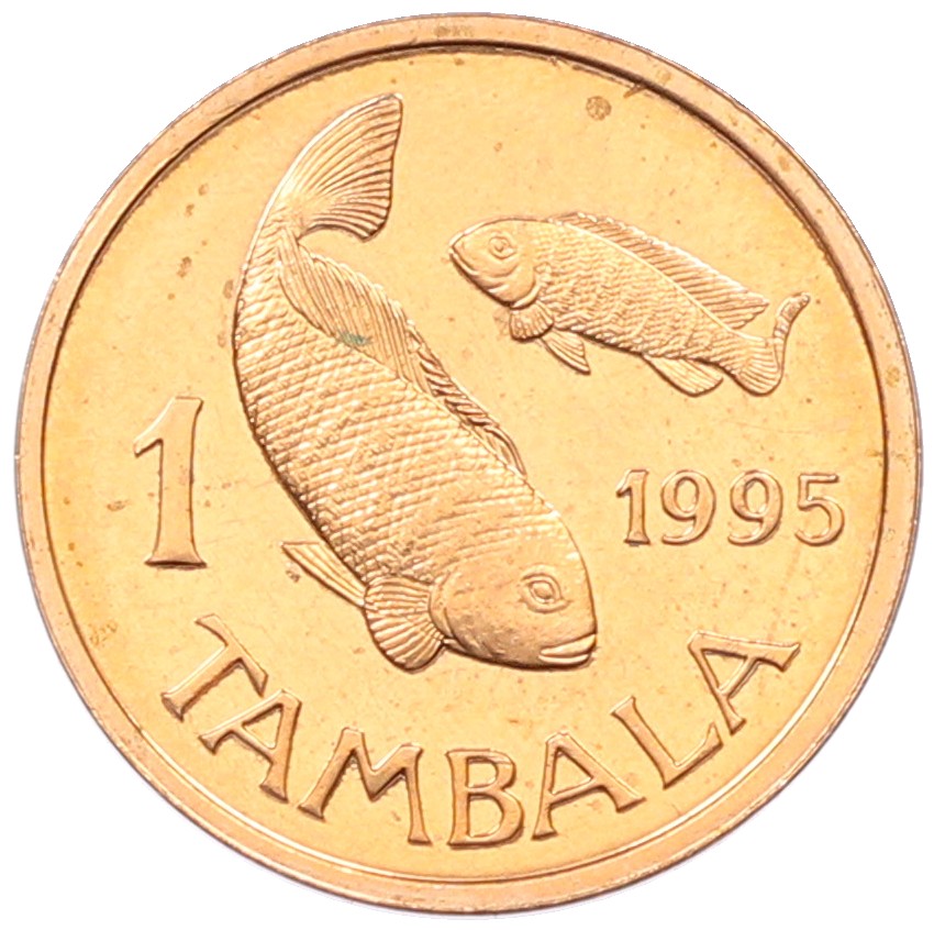 1 тамбала 1995 года Малави — Фото №1