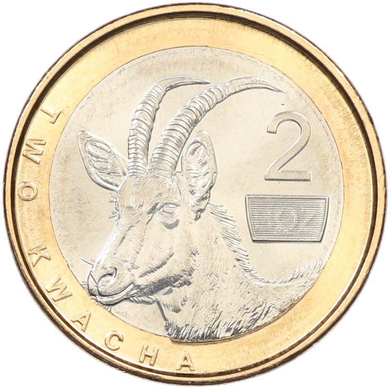 2 квачи 2024 года Замбия — Фото №1