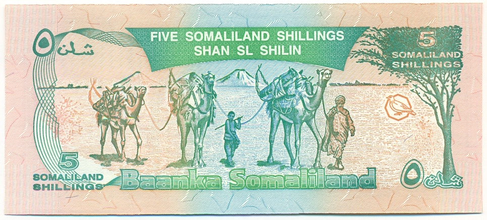 5 шиллингов 1994 года Сомалиленд — Фото №2