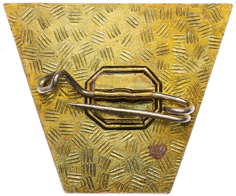 Значок Восточная Германия (ГДР) «Боевой курс» — Фото №2