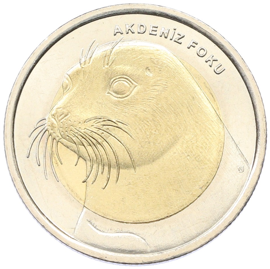 1 лира 2013 года Турция «Фауна Турции — Тюлень-Монах» — Фото №1