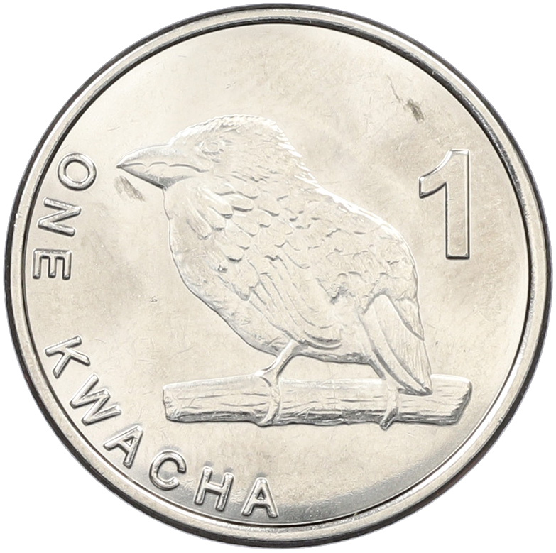 1 квача 2024 года Замбия — Фото №1
