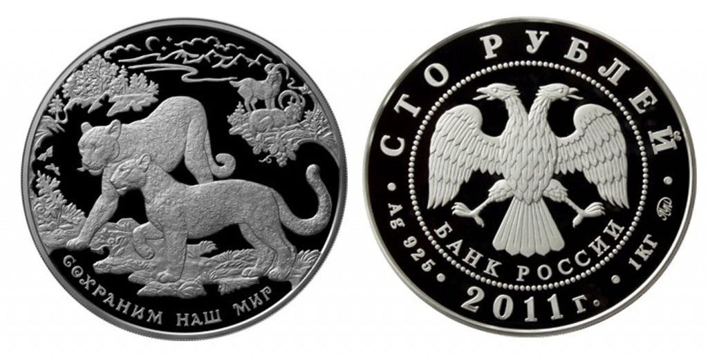 100 руб. 2011.jpg