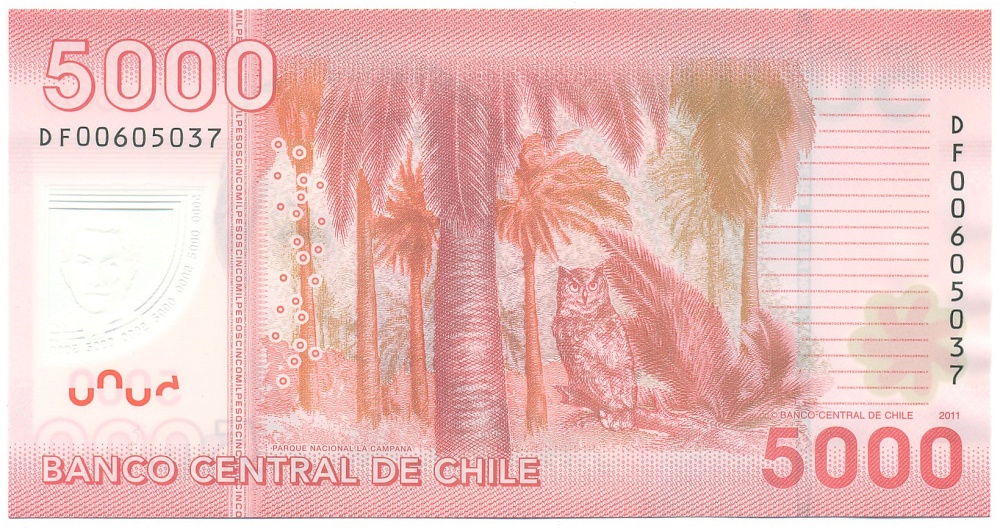 5000 песо 2011 года Чили — Фото №2