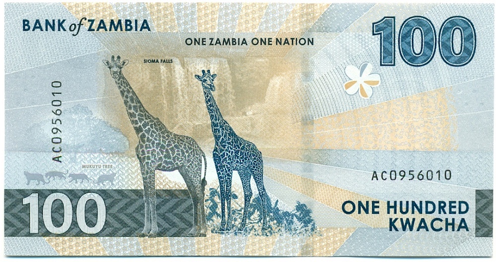 100 квача 2024 года Замбия — Фото №2