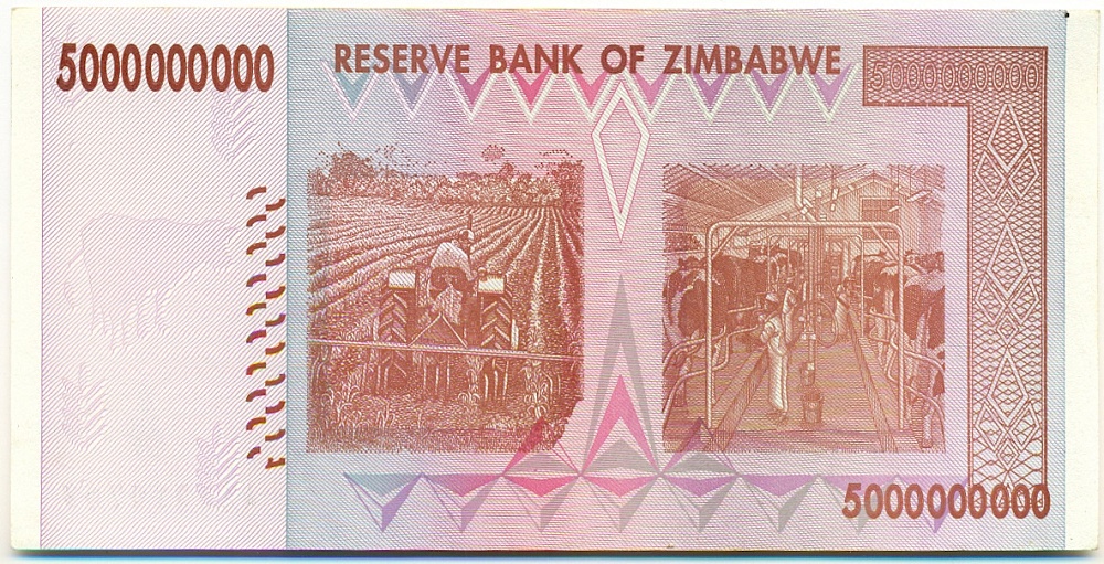5 миллиардов долларов 2008 года Зимбабве — Фото №2