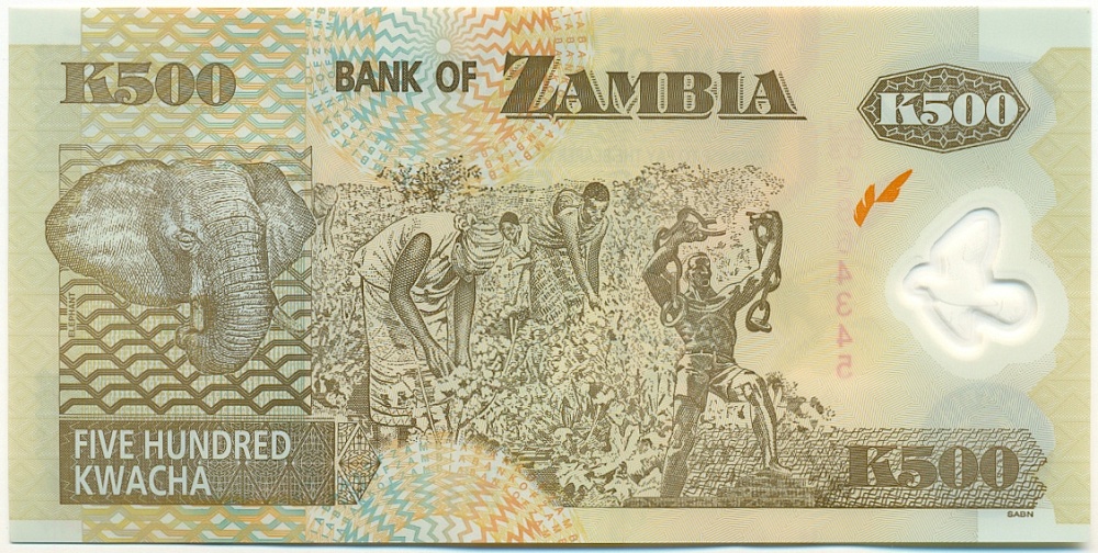 500 квача 2008 года Замбия — Фото №2