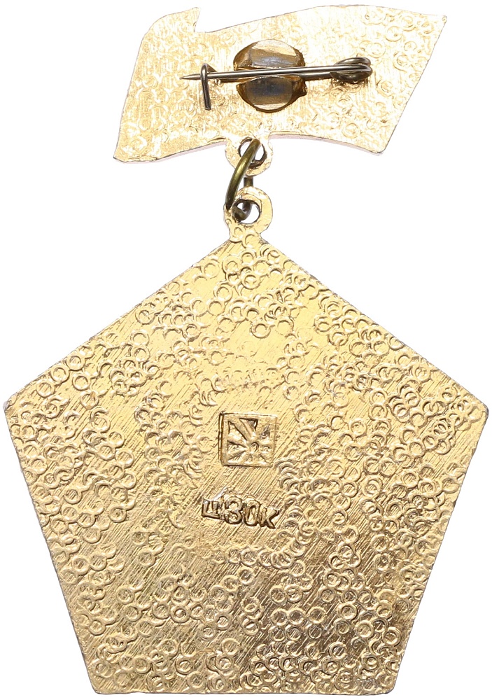 Знак СССР «Слава воинам противовоздушной обороны» — Фото №2