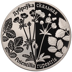 1 рубль 2017 года Белоруссия «Возрожденные растения — Лапчатка скальная (Potentilla rupestris)» — Фото №1