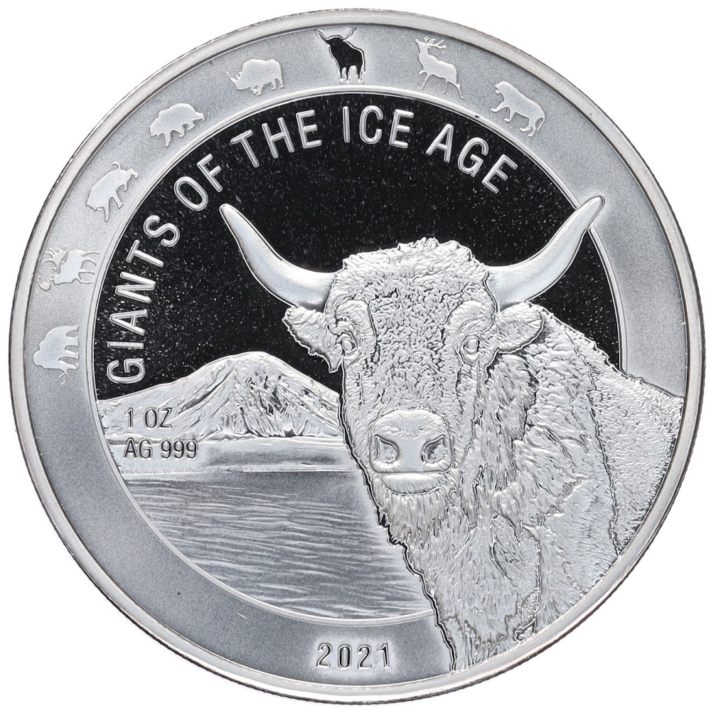 5 седи 2021 года Гана «Гиганты ледникового периода — Зубр» — Фото №1