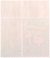 Почтова марка 2013 года Белоруссия «Съедобные грибы» — Фото №2