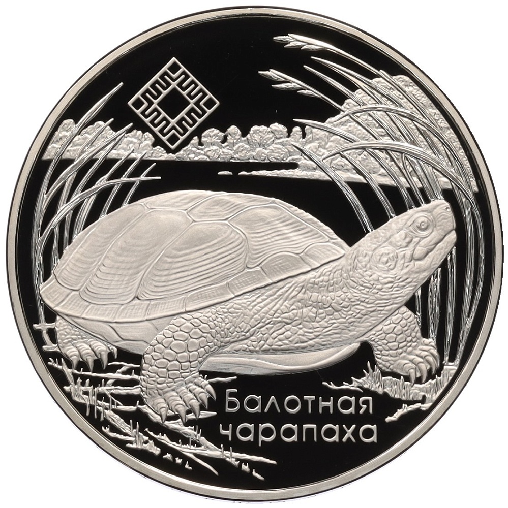 1 рубль 2010 года Белоруссия «Заказники Беларуси — Средняя Припять (Болотная черепаха)» — Фото №1