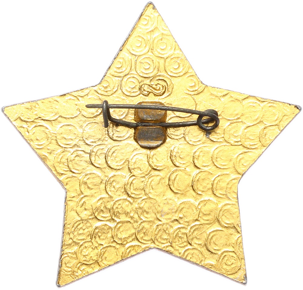 Пионерский значок «За отличие» — Фото №2