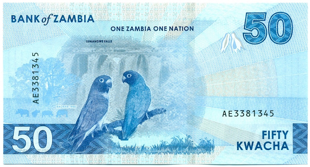50 квача 2024 года Замбия — Фото №2