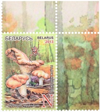 Почтова марка 2013 года Белоруссия «Съедобные грибы» — Фото №1