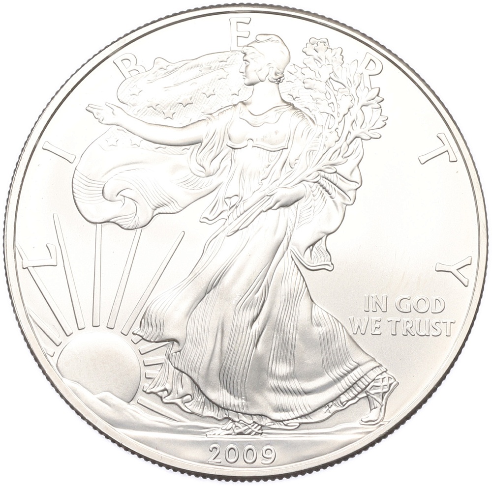 1 доллар 2009 года США «Шагающая Свобода» — Фото №1