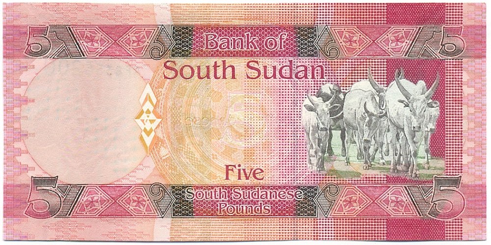5 фунтов 2011 года Южный Судан — Фото №2