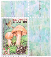 Почтова марка 2013 года Белоруссия «Съедобные грибы» — Фото №1