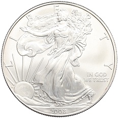 1 доллар 2008 года США «Шагающая Свобода» — Фото №1
