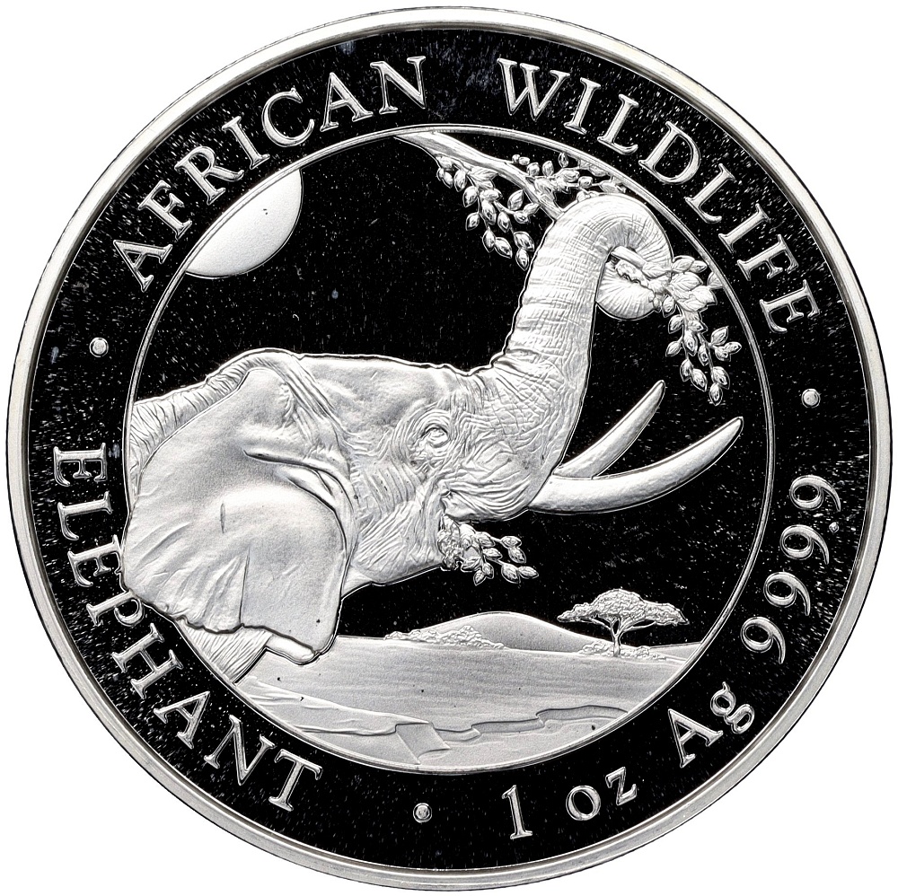 100 шиллингов 2023 года Сомали «Африканская дикая природа — Африканский слон» — Фото №1
