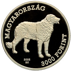3000 форинтов 2025 года Венгрия «Венгерская порода собак — Куваш» — Фото №2