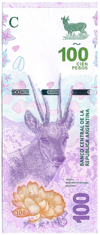 100 песо 2018 года Аргентина — Фото №1