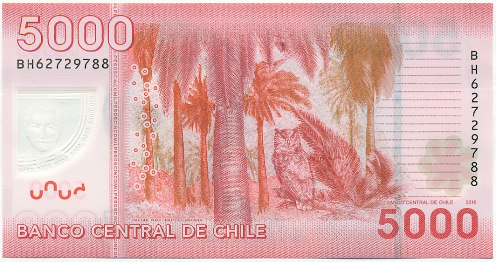 5000 песо 2016 года Чили — Фото №2