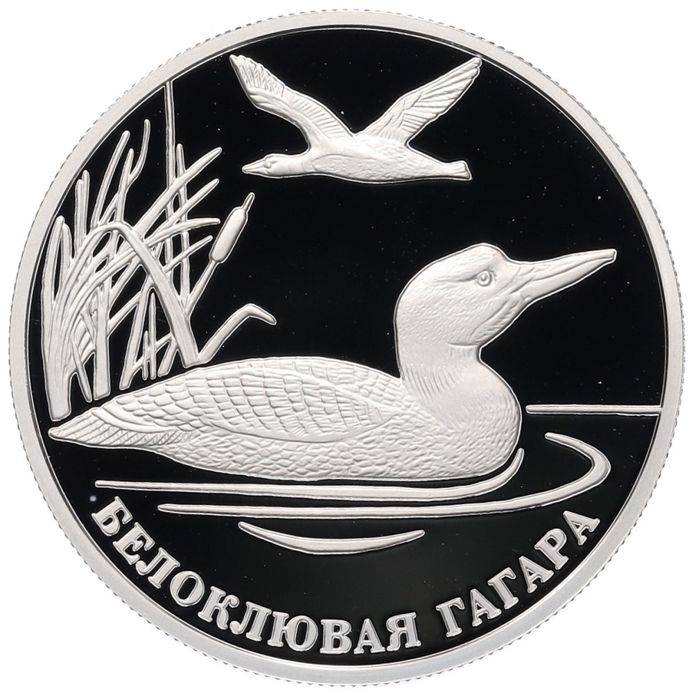 2 рубля 2012 года ММД «Красная книга — Белоклювая гагара» — Фото №1