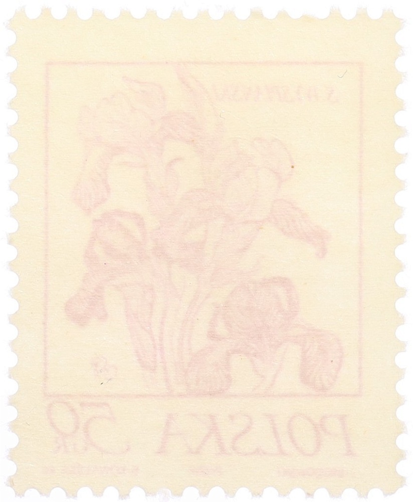 Почтовая марка 50 грошей 1974 года Польша — Фото №2