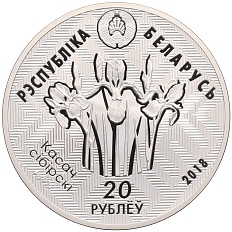20 рублей 2018 года Белоруссия «Заказники Беларуси — Заказник Котра (Глухарь)» — Фото №2