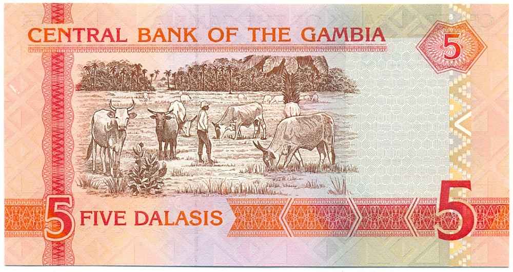 5 даласи 2006 года Гамбия — Фото №2