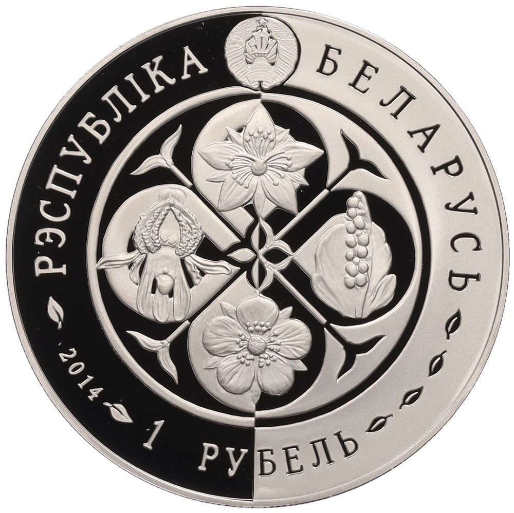 1 рубль 2014 года Белоруссия «Возрожденные растения — Зверобой четырехкрылый» — Фото №2