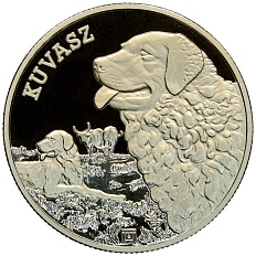 3000 форинтов 2025 года Венгрия «Венгерская порода собак — Куваш» — Фото №1