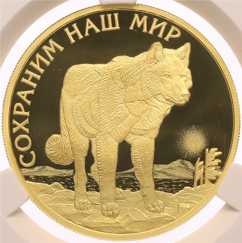 100 рублей 2020 года СПМД «Сохраним наш мир — Полярный волк» — Фото №1