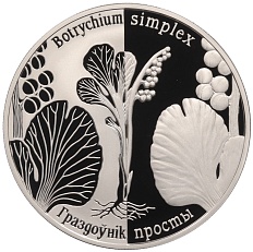 1 рубль 2014 года Белоруссия «Возрожденные растения — Гроздовник простой» — Фото №1