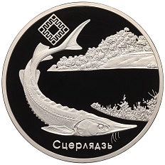 1 рубль 2007 года Белоруссия «Заказники Беларуси — Днепро-Сожский (Стерлядь)» — Фото №1