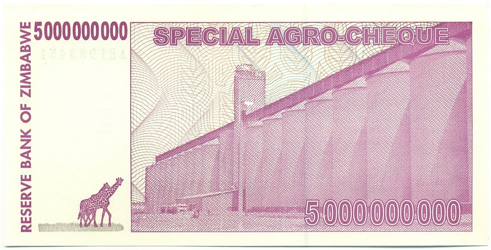 5 миллиардов долларов 2008 года Зимбабве — Фото №2