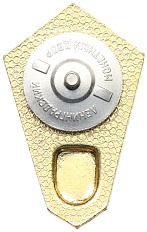 Знак «Об окончании медицинского техникума» СССР — Фото №2