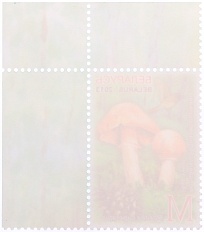 Почтова марка 2013 года Белоруссия «Съедобные грибы» — Фото №2