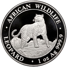 100 шиллингов 2022 года Сомали «Африканская дикая природа — Леопард» — Фото №1