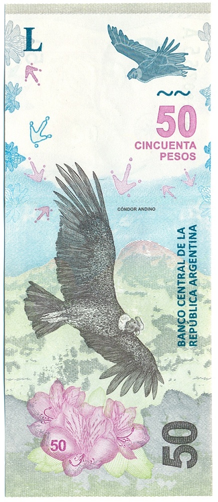 50 песо 2018 года Аргентина — Фото №1