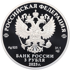 3 рубля 2025 года СПМД «100 лет Всероссийскому обществу слепых» (в буклете) — Фото №2