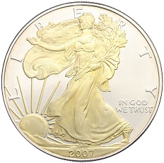 1 доллар 2007 года США «Шагающая Свобода» (Позолота) — Фото №1