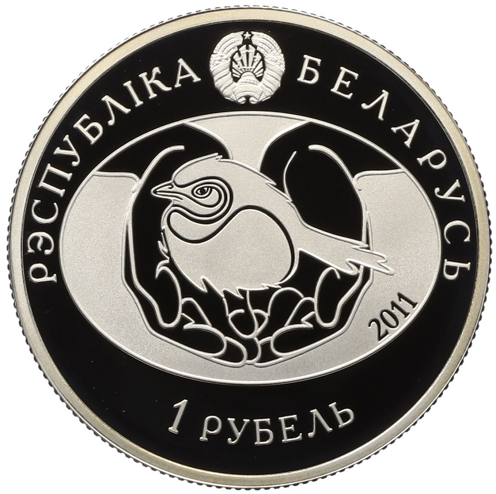 1 рубль 2011 года Белоруссия «Птица года — Большой кроншнеп» — Фото №2