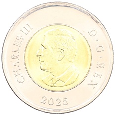 2 доллара 2025 года Канада «Чествование неизвестного солдата Канады» (Цветное покрытие) — Фото №2