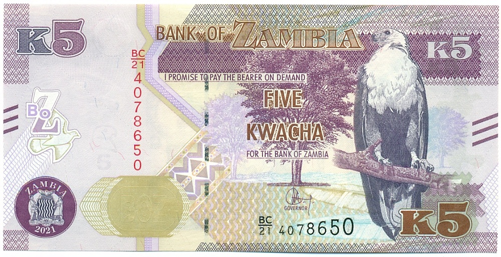 5 квача 2021 года Замбия — Фото №1